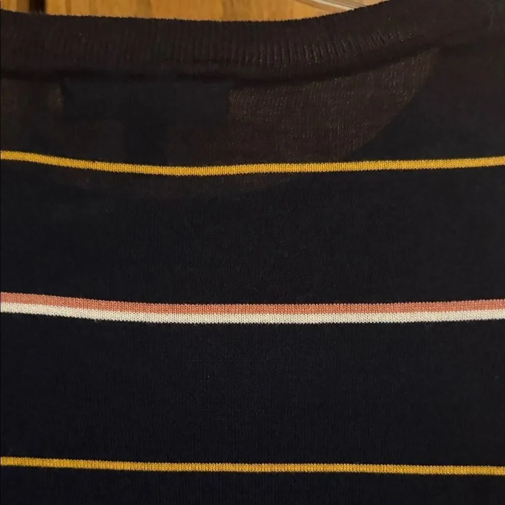 Banana Republic Navy Sweater with Pink and Gold Stripes